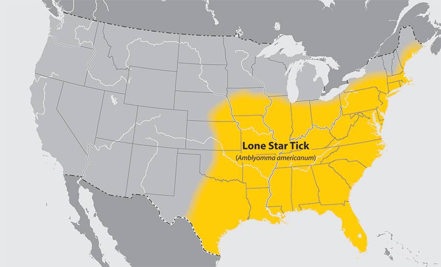 Lone Star tick map 2017