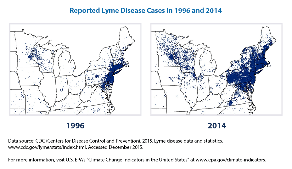 Lone Star Tick Map, Locations, and Other Key Facts MEDPRO Disposal, LLC