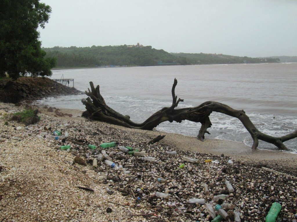 Waste on a beach in India