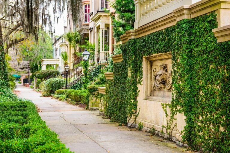 Savannah GA Medical Waste Disposal MEDPRO Disposal LLC